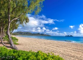 Hawaiian Beach Scene