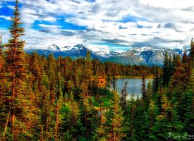The Canadian Wilderness